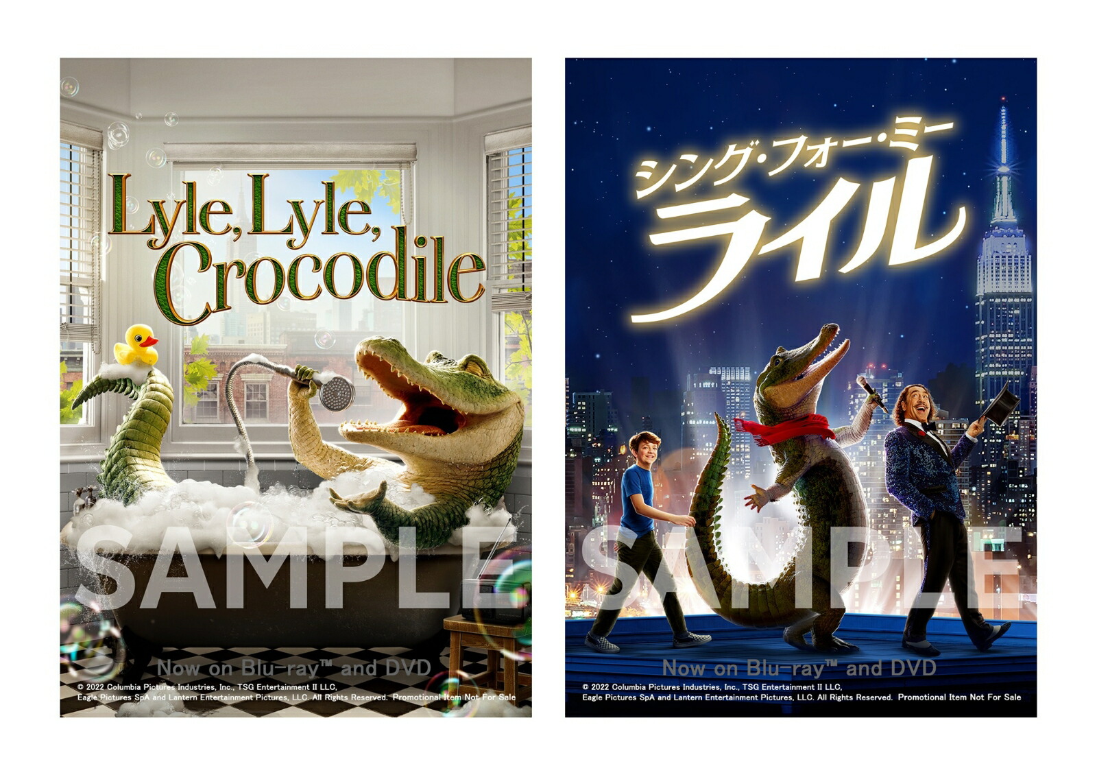 ڳŷ֥åŵۥ󥰡եߡ饤֥롼쥤DVDåȡBlu-ray(2LȽ֥ޥ2祻å)[硼󡦥ǥ]