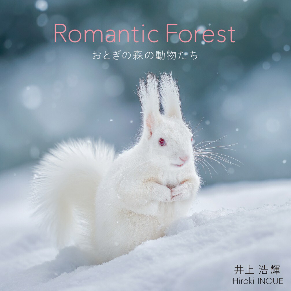 RomanticForestȤοưʪ[]