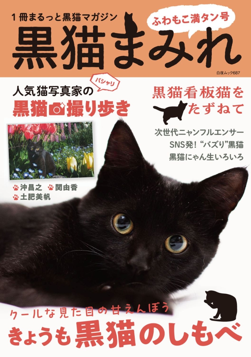 楽天ブックス: 黒猫まみれ ふわもこ満タン号 - 9784864944212 : 本