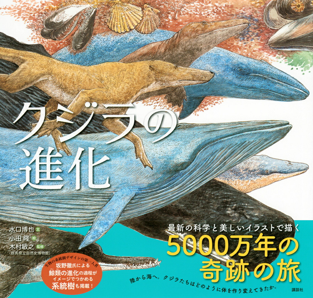 クジラの進化 （講談社の創作絵本） [ 水口 博也 ]