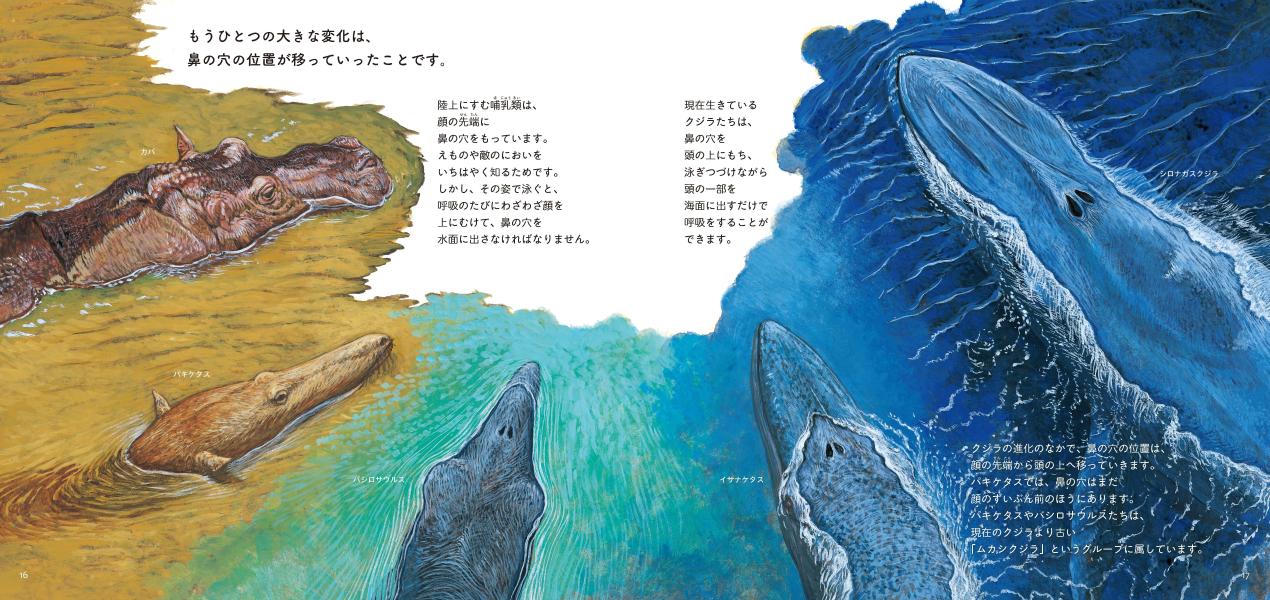 クジラの進化 （講談社の創作絵本） [ 水口 博也 ]