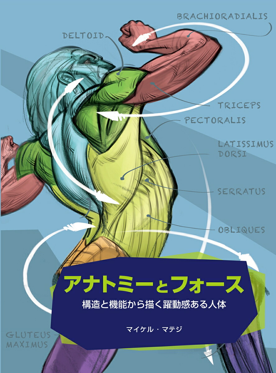 ʥȥߡȥե[ޥ롦ޥƥ]
