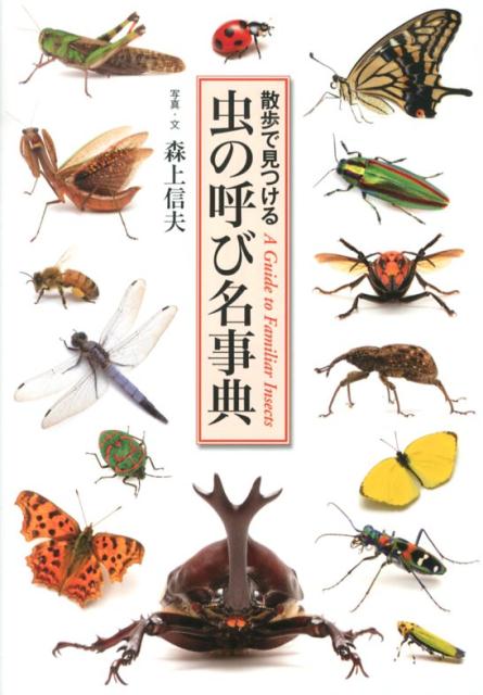 楽天ブックス: 虫の呼び名事典 - 散歩で見つける - 森上信夫