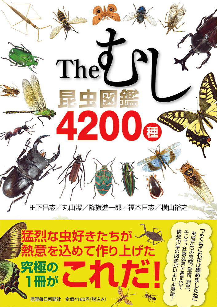 楽天市場】今森光彦の昆虫教室（全2巻）絵本 セット 本 昆虫 虫とり