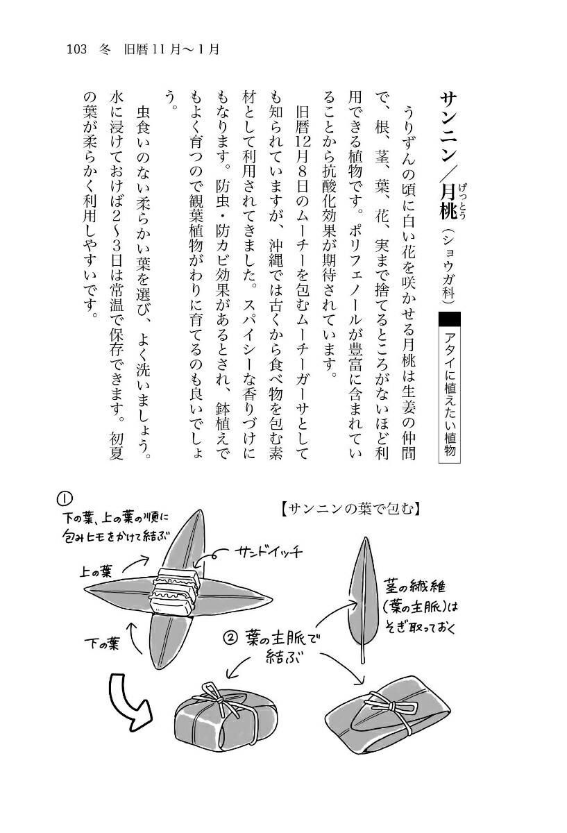 楽天ブックス: おきなわ暮らしの雑記帳 - 比嘉 淳子 - 9784899824251 : 本