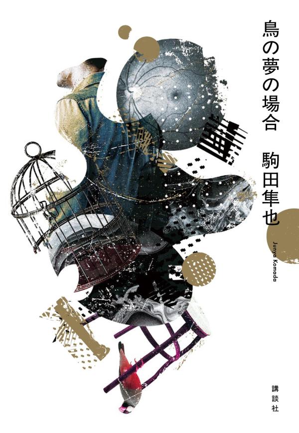 鳥の夢の場合画像