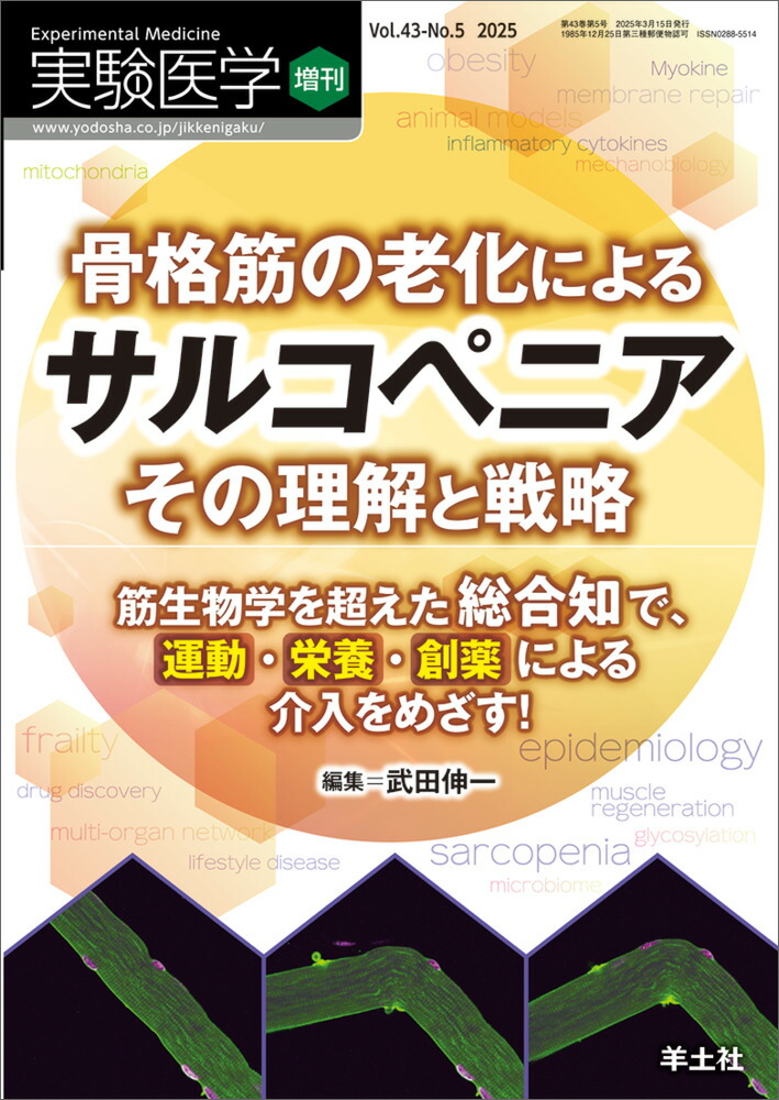 ʶڤϷˤ륵륳ڥ˥άʼ¸[Ŀ]