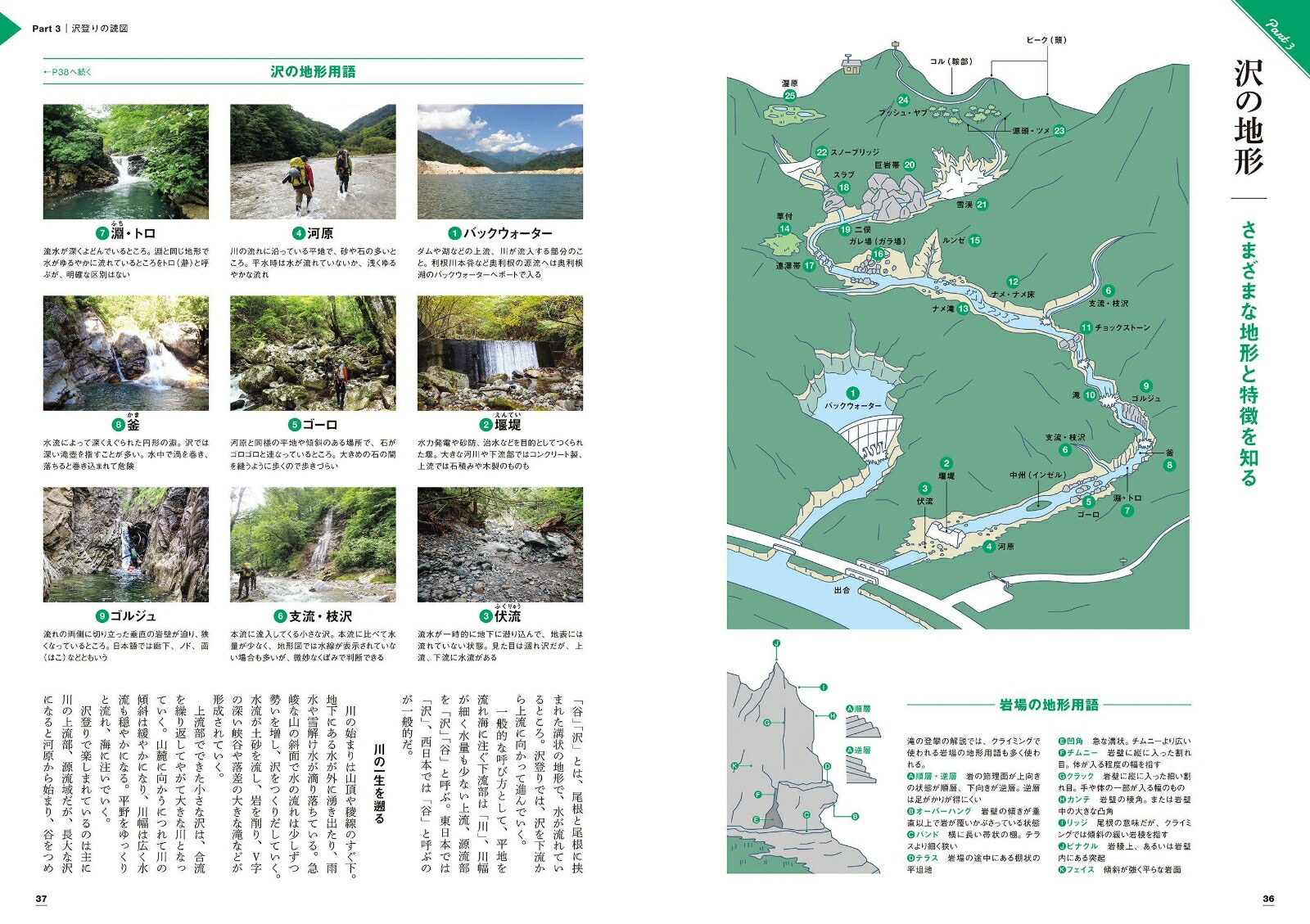 楽天ブックス: 沢登り - 9784635044264 : 本