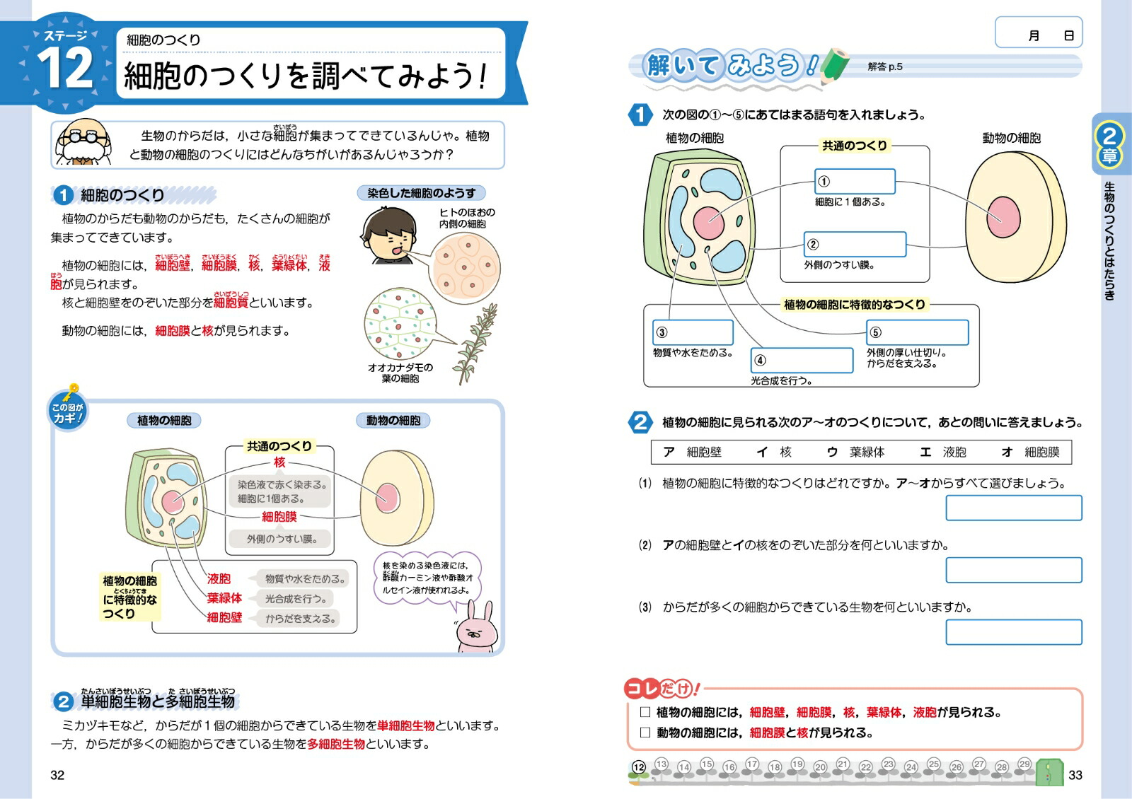 楽天ブックス ぐーんっとやさしく 中2理科 文英堂編集部 本