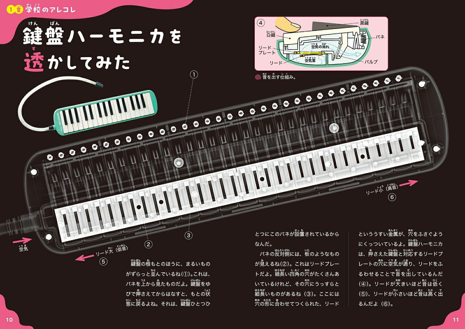 透かして学ぼうX線でなんでもスケスケ！2モノ編[鈴木出版スケスケ研究会]