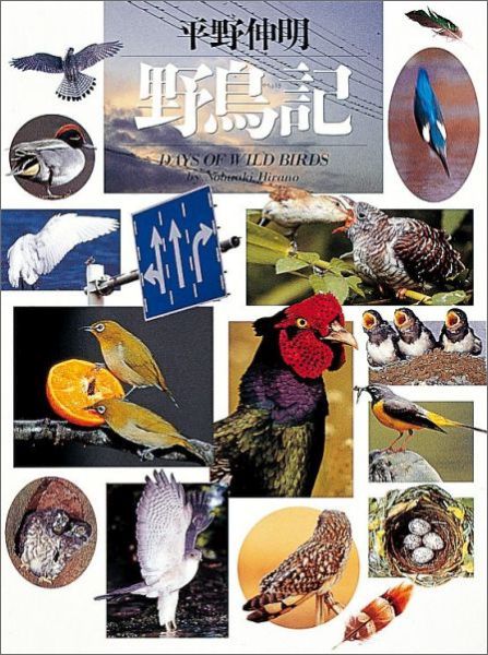 平野伸明野鳥記（写真記シリーズ）[平野伸明]