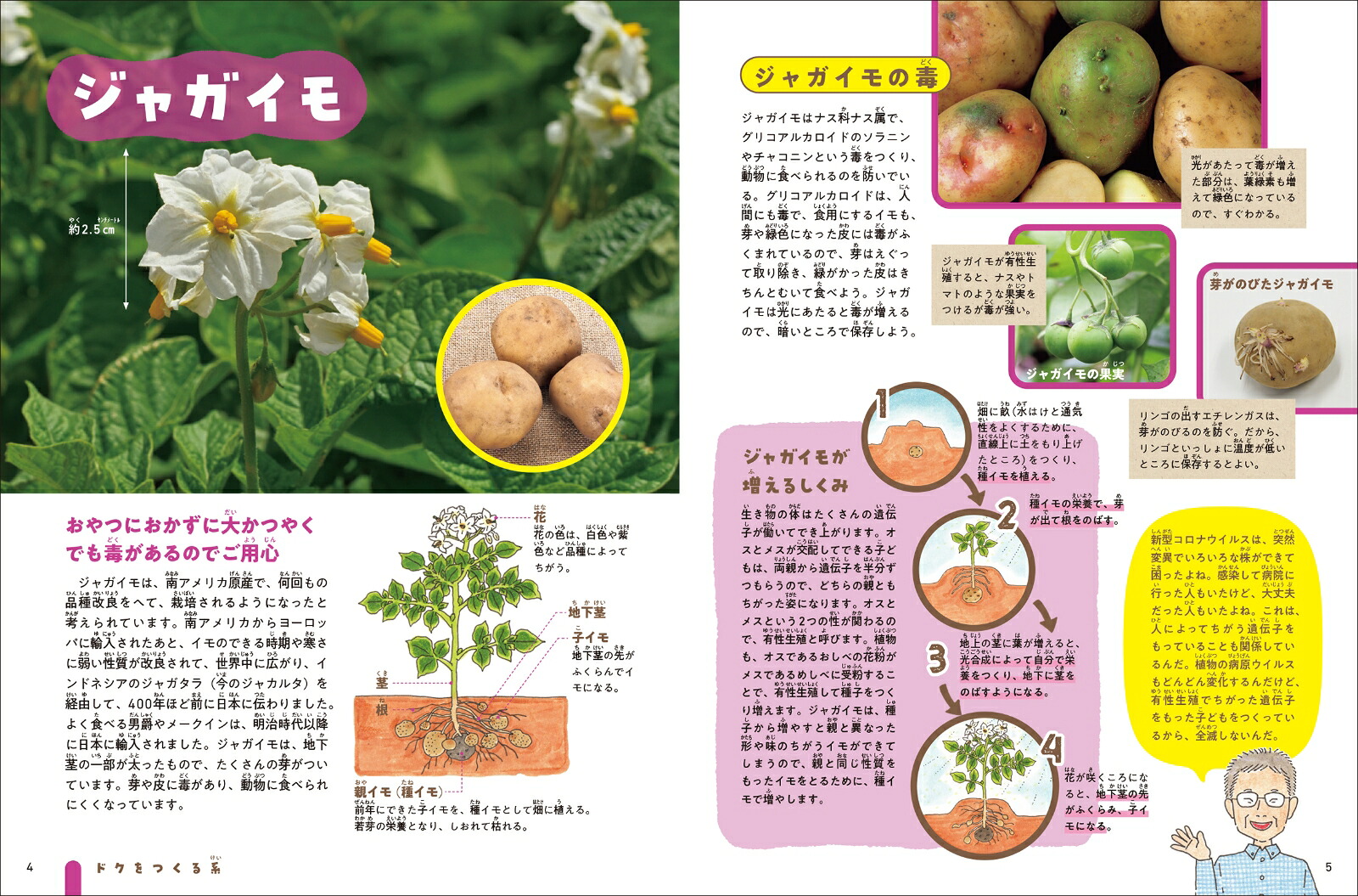 技あり！モーレツ植物ずかん2ドクをつくる系・トゲをはやす系（第2巻）[長谷部光泰]