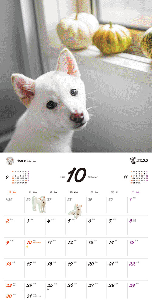 ����󥸥ڡ��������Υ�󥳡��ɳݥ�������2022