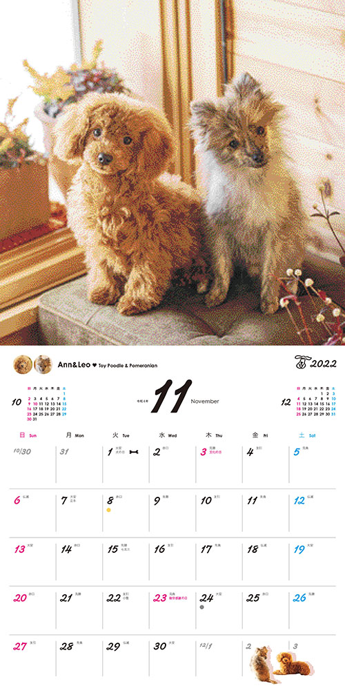 ����󥸥ڡ��������Υ�󥳡��ɳݥ�������2022