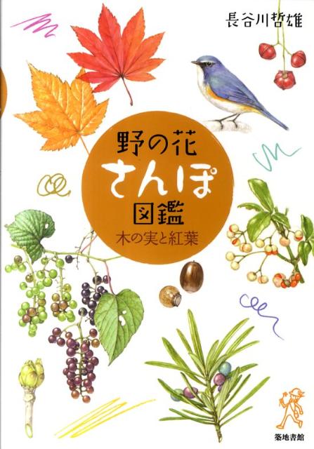 楽天ブックス 野の花さんぽ図鑑 木の実と紅葉 長谷川哲雄 本