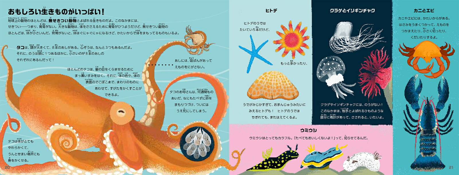 楽天ブックス 海の生きものの本 シャーロット ミルナー 本