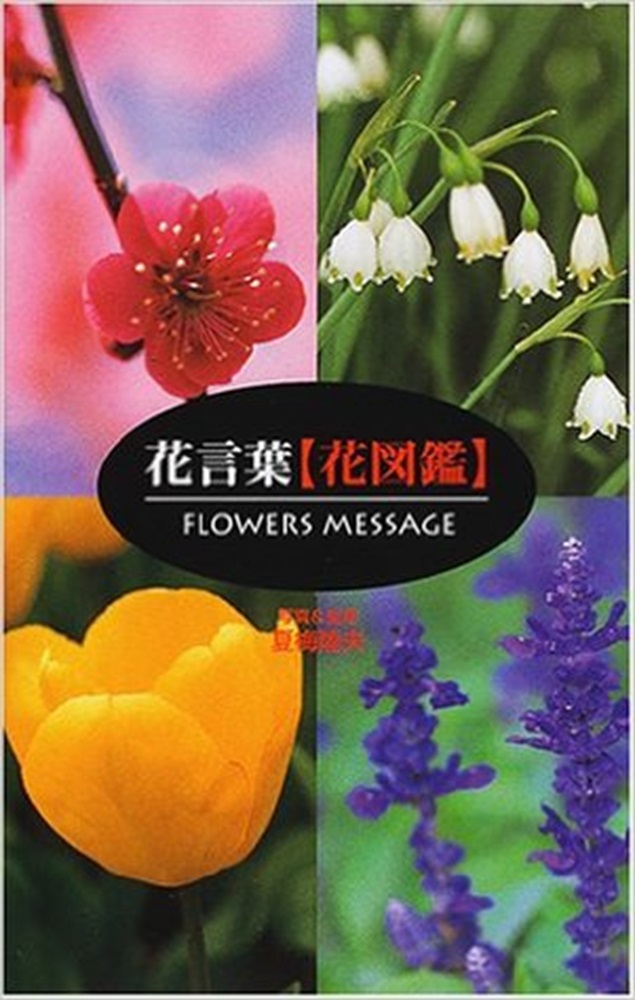花言葉［花図鑑］[夏梅陸夫]