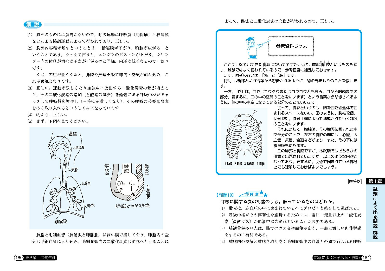 ܻˤ褯Ф롪꽸ʹȡʥ꡼[ƣ]
