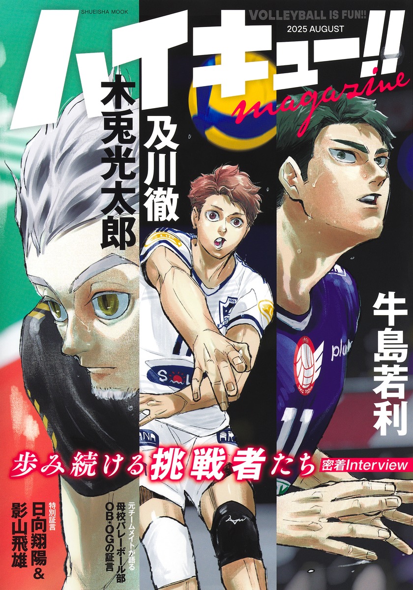 集英社 - ちーちゃん　ハイキュー　漫画1〜25巻+公式ファンブック ちーちゃん様専用 ハイキュー 漫画1〜25巻+公式ファンブック