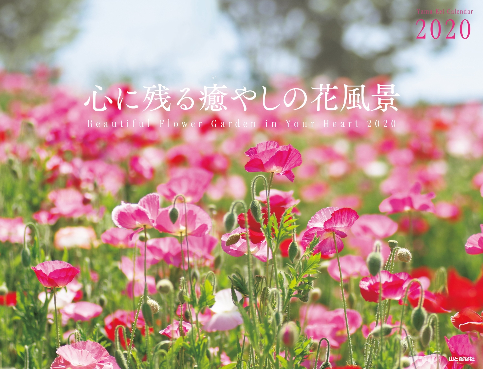 楽天ブックス 心に残る癒やしの花風景 Beautiful Flower Garden In Y 本