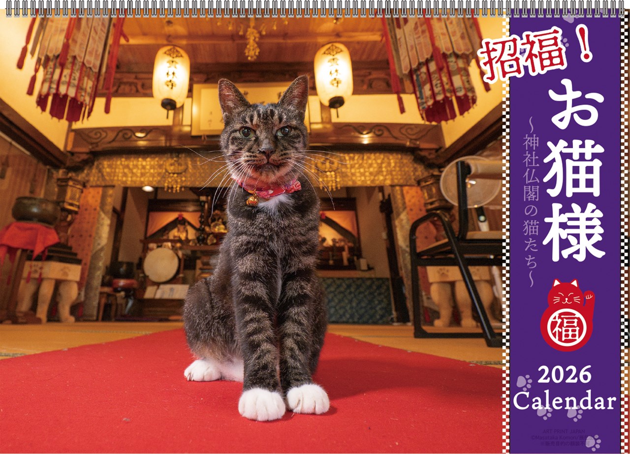 26CL/032��ʡ!��ǭ�ͥ�������