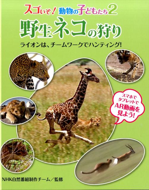 楽天ブックス 野生ネコの狩り ライオンは チームワークでハンティング Nhk自然科学番組制作チーム 本