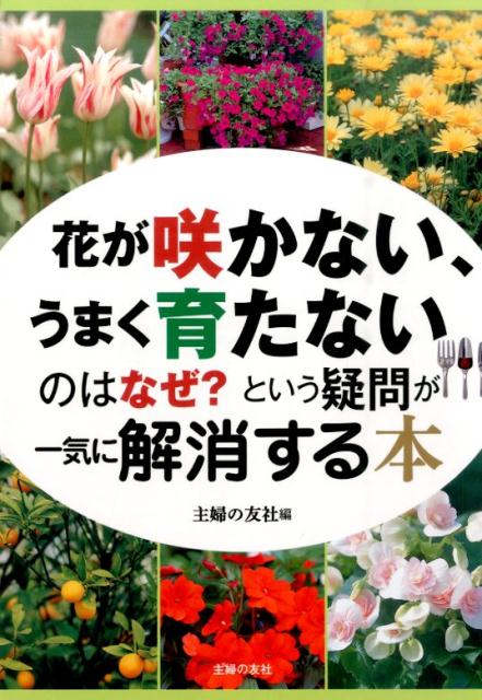 楽天ブックス 花が咲かない うまく育たないのはなぜ という疑問が一気に解消する本 主婦の友社 本