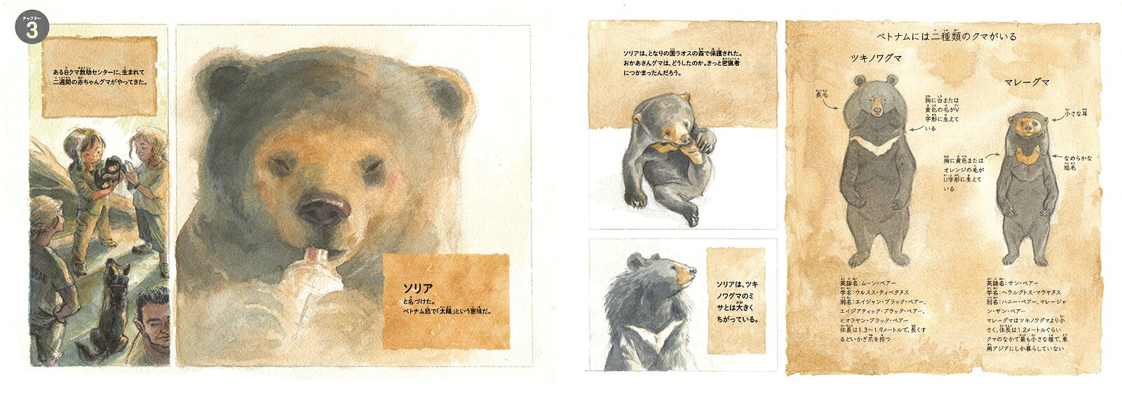 ソリアを森へマレーグマを救ったチャーンの物語（翻訳絵本シリーズ）[チャン・グエン]