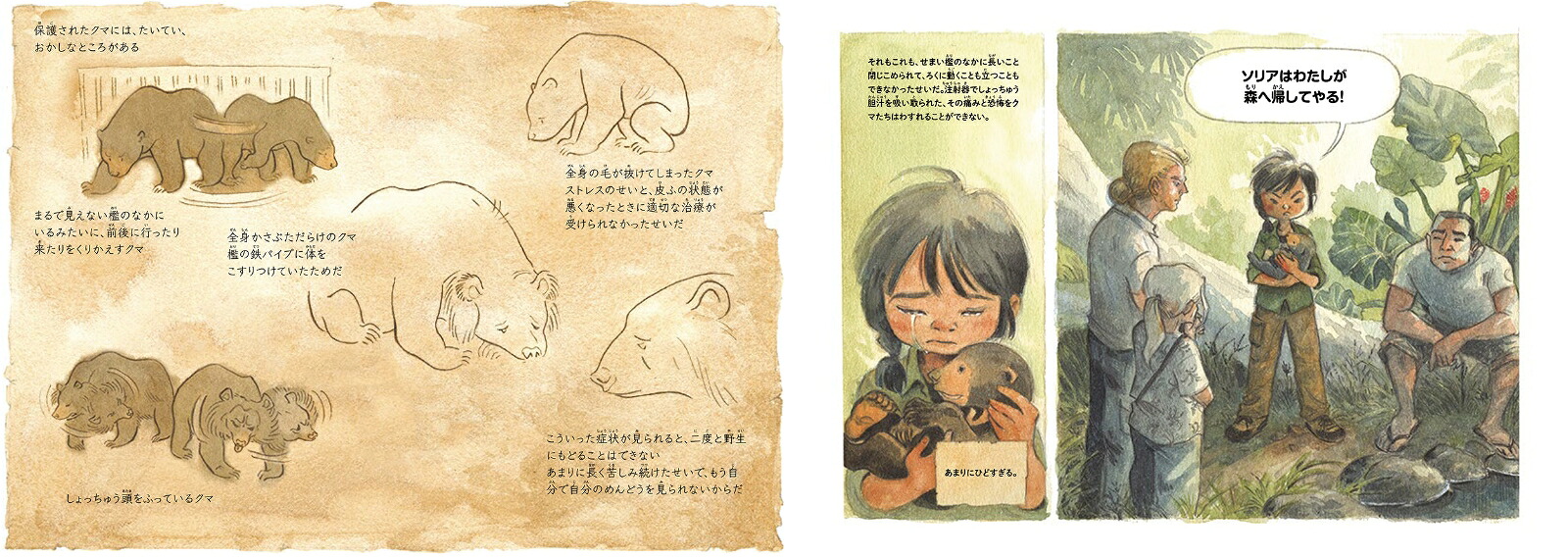 ソリアを森へマレーグマを救ったチャーンの物語（翻訳絵本シリーズ）[チャン・グエン]