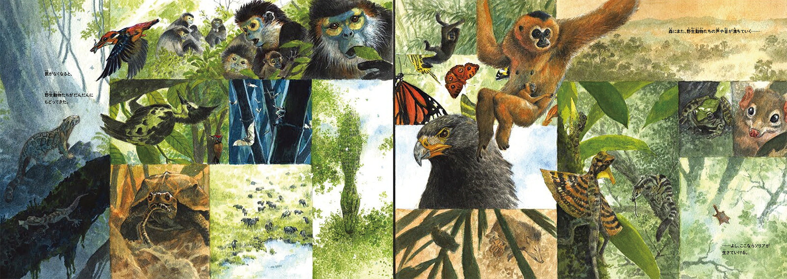 ソリアを森へマレーグマを救ったチャーンの物語（翻訳絵本シリーズ）[チャン・グエン]