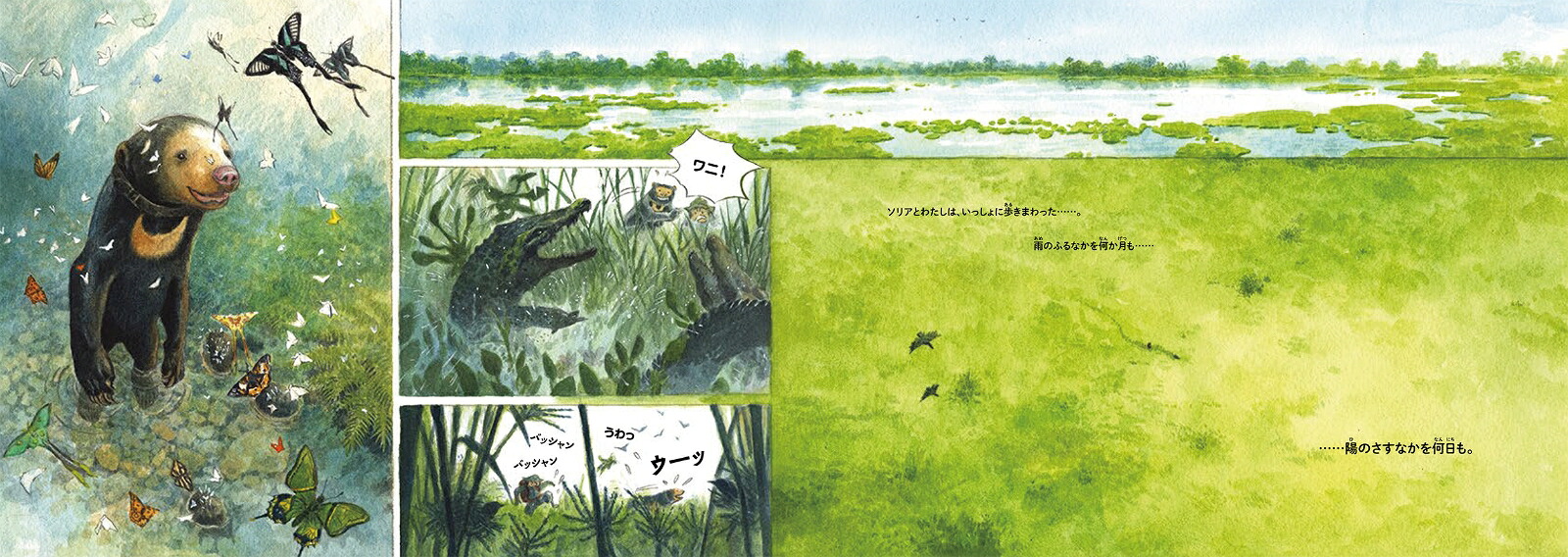ソリアを森へマレーグマを救ったチャーンの物語（翻訳絵本シリーズ）[チャン・グエン]