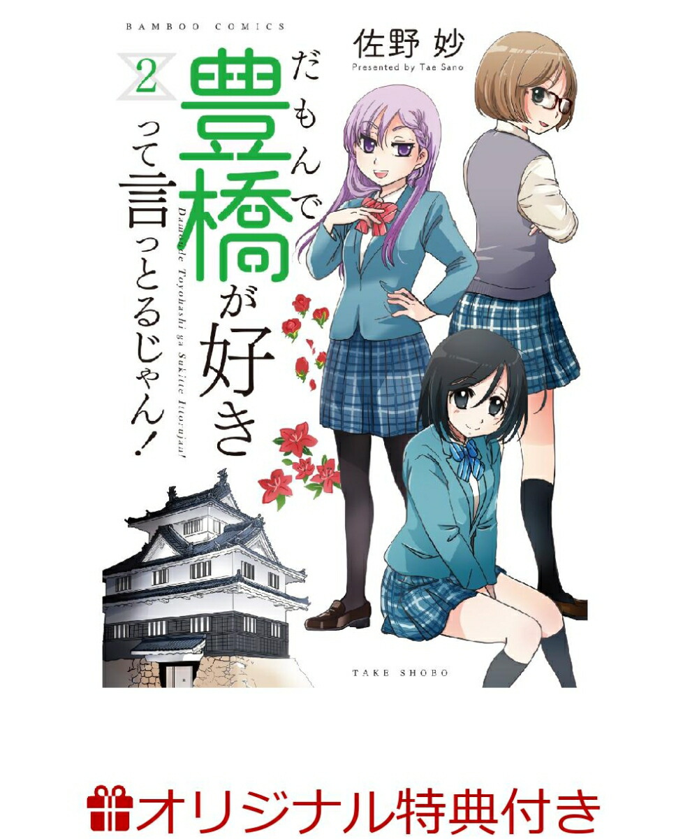 楽天ブックス 楽天ブックス限定特典 だもんで豊橋が好きって言っとるじゃん 2 特典内容確認中 サノタエ 本