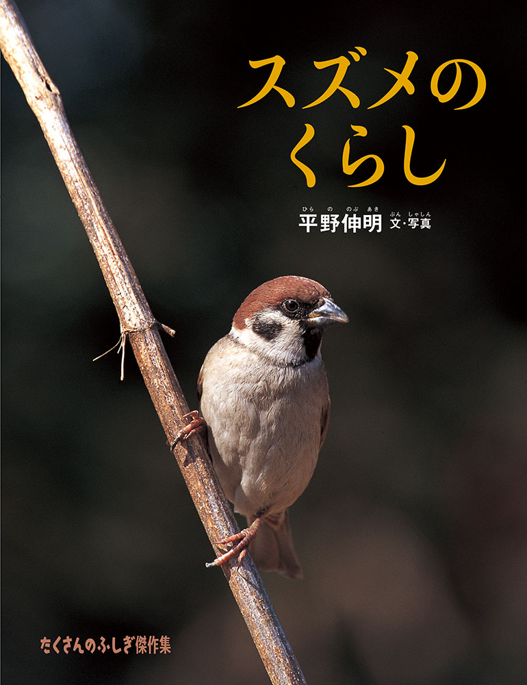 ������Τ��餷�ʤ�������Τդ�������[ʿ���]