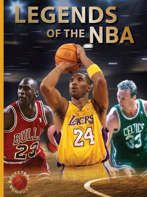 エンターベイ　カリー　フィギュア 1/6 リアルマスターピース コレクティブル フィギュア/ NBA