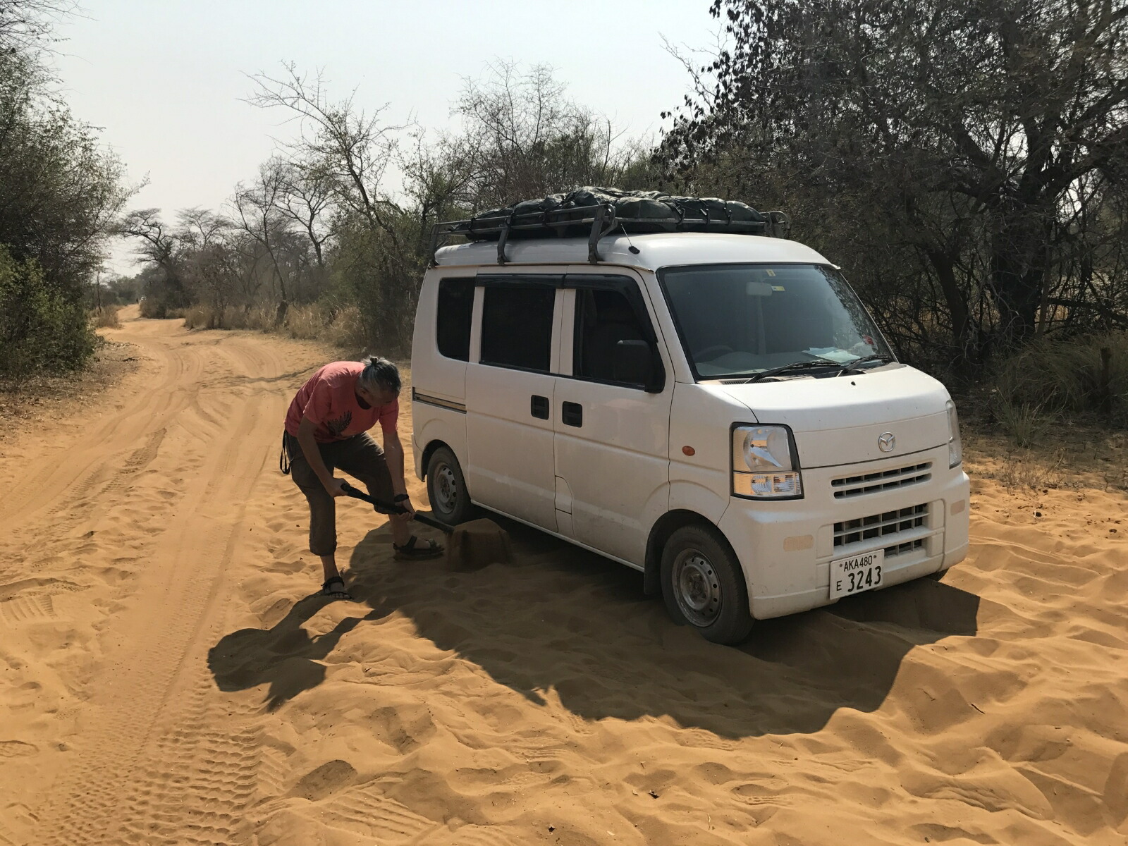 äȤƤ⡢ˤϤΤ餻褽ˤʤ[߷͵]