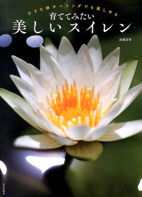 ƤƤߤ󾮤ȭ٥Ǥڤ[ƣ빬]