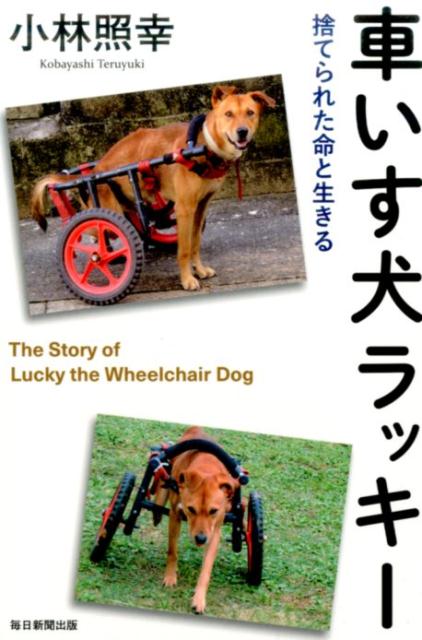 楽天ブックス 車いす犬ラッキー 捨てられた命と生きる 小林照幸 本