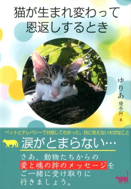 楽天ブックス 猫が生まれ変わって恩返しするとき ゆりあ 優李阿 本