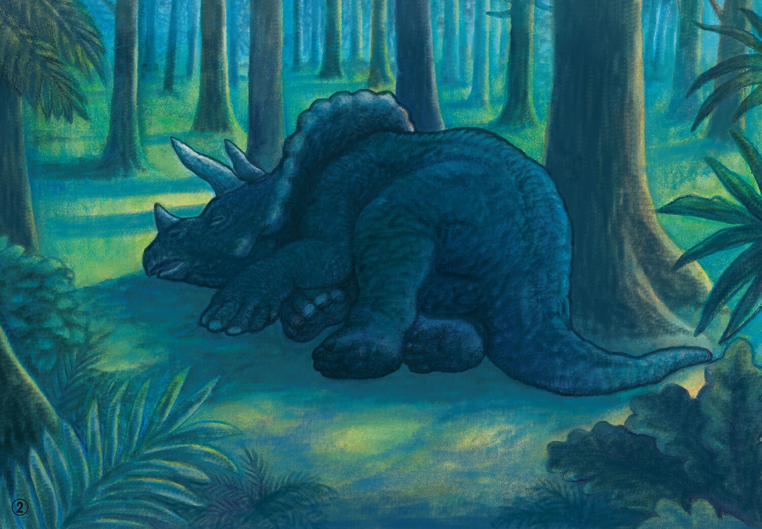 ��ǵ�Ĥ���Υƥ���Υ����륹��2025ǯ��������Ի�ǵ�ǯ�揢�ǯĹ���Ȥ��������������[���湯ʿ]