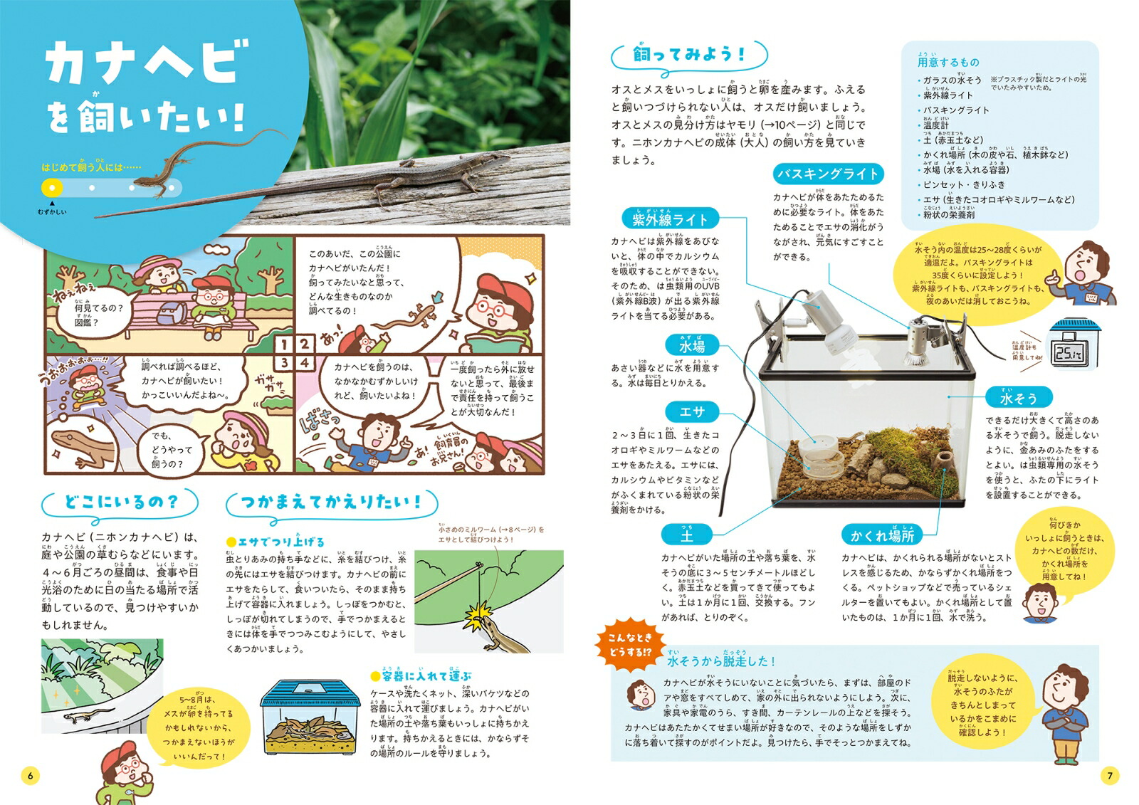 身近な生きものの飼い方1家のまわりや公園の生きもの[足立区生物園]