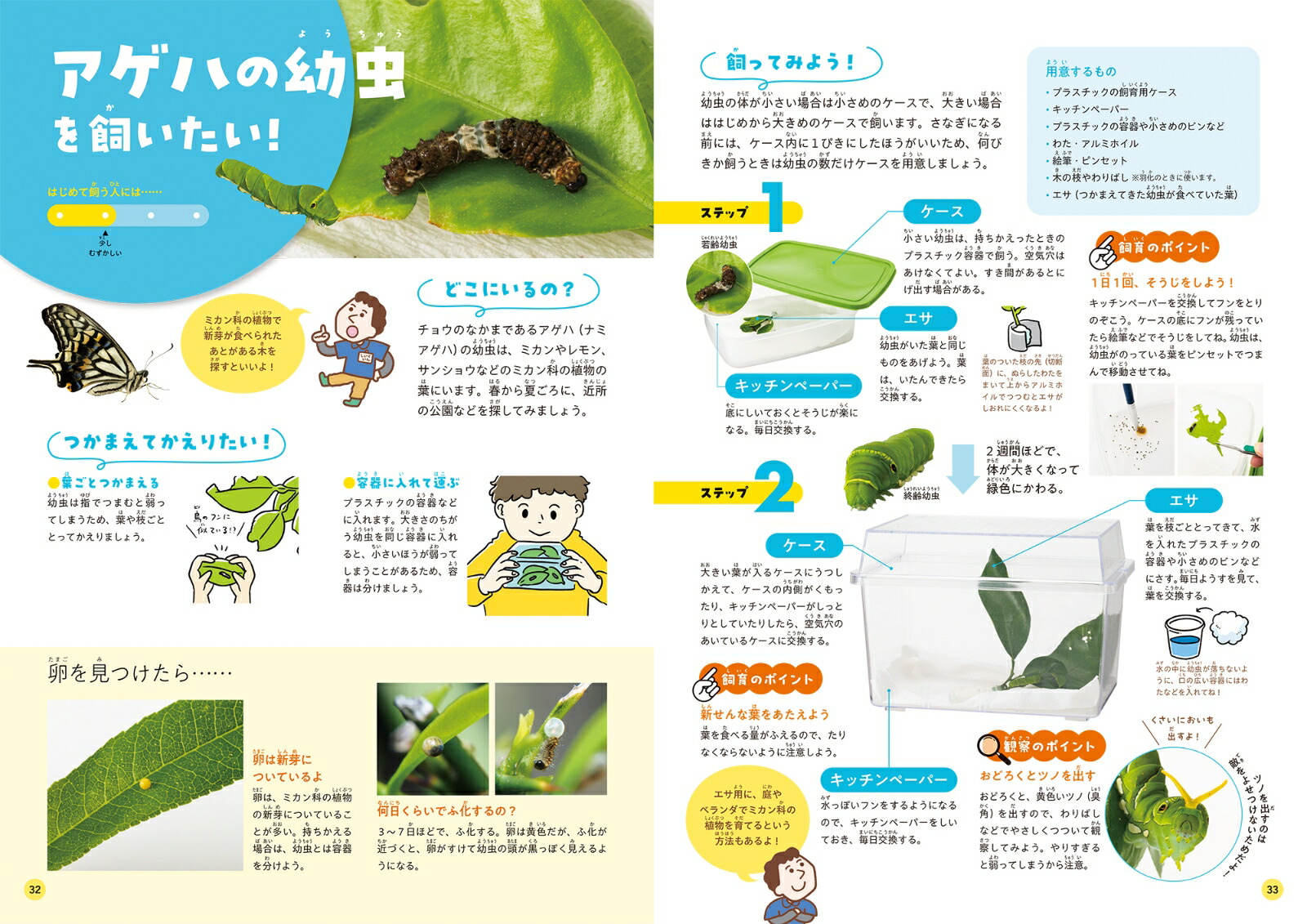 身近な生きものの飼い方1家のまわりや公園の生きもの[足立区生物園]