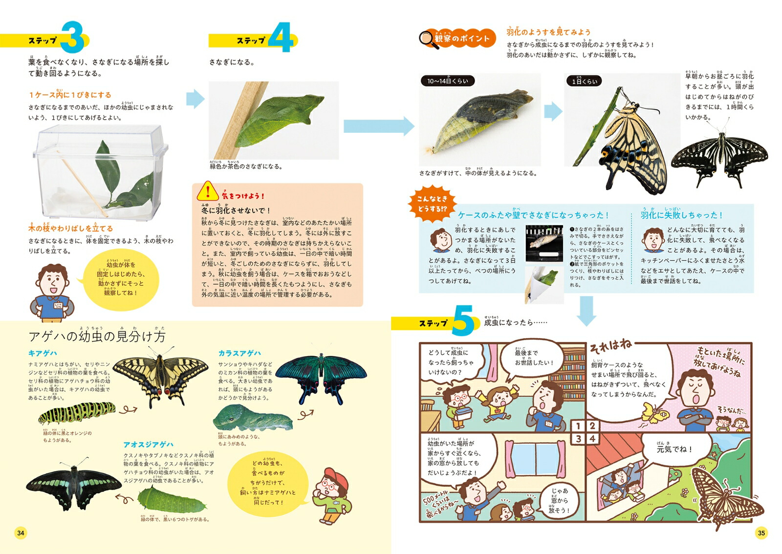 身近な生きものの飼い方1家のまわりや公園の生きもの[足立区生物園]