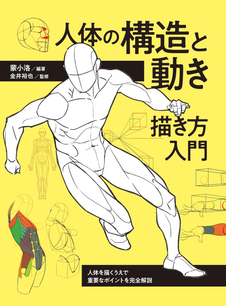 人体の構造と動き描き方入門人体を描くうえで重要なポイントを完全解説[蒙小洛]