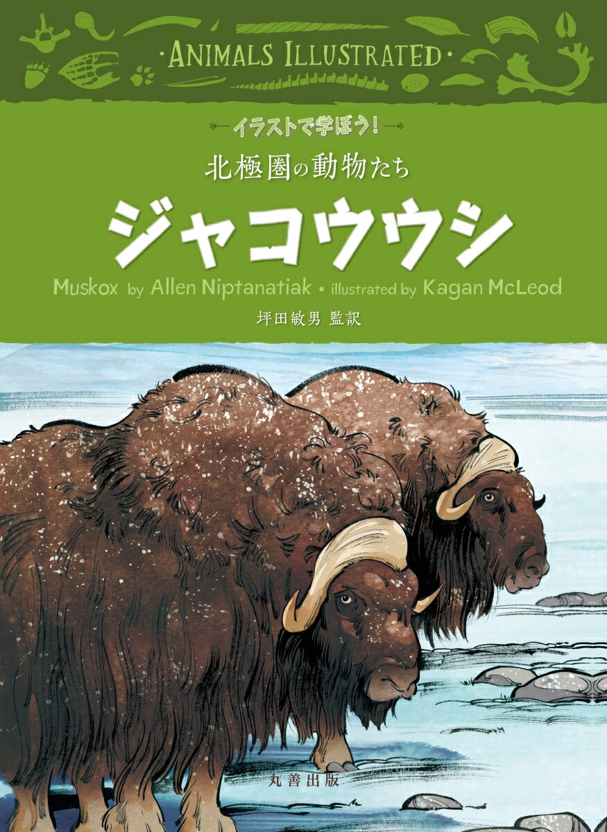 楽天ブックス ジャコウウシ 坪田 敏男 本