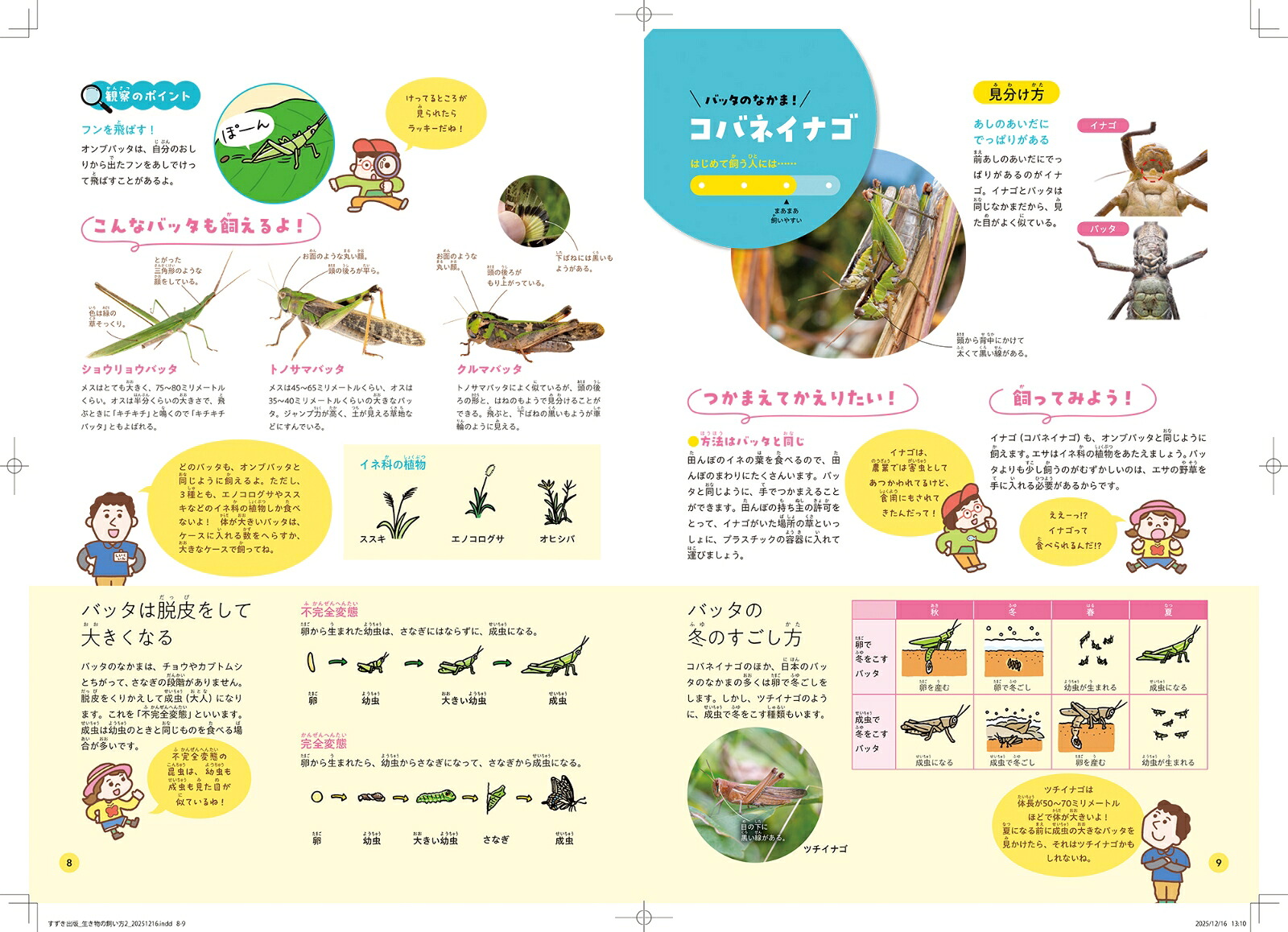 身近な生きものの飼い方2田畑や森林の生きもの[足立区生物園]