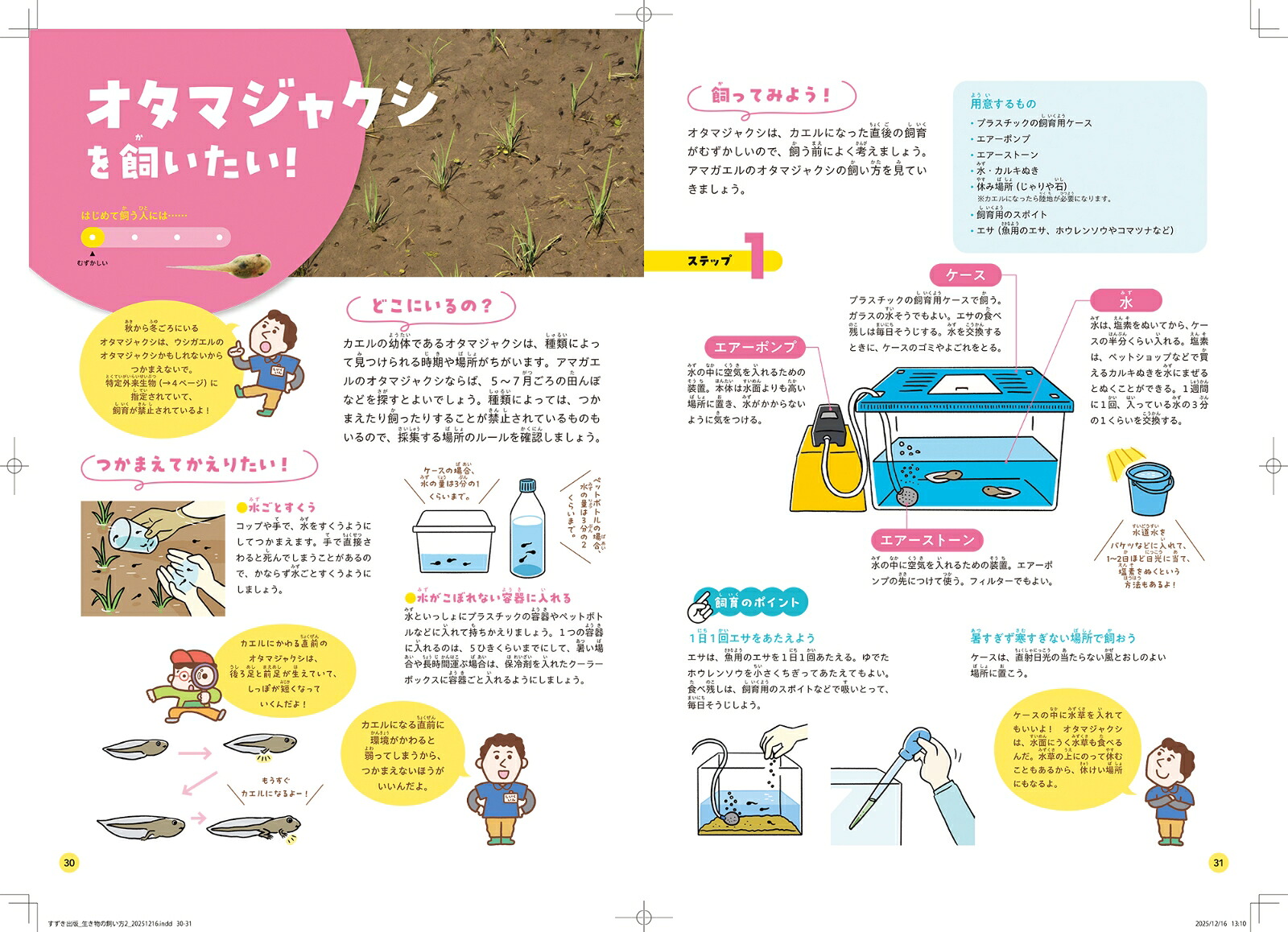 身近な生きものの飼い方2田畑や森林の生きもの[足立区生物園]