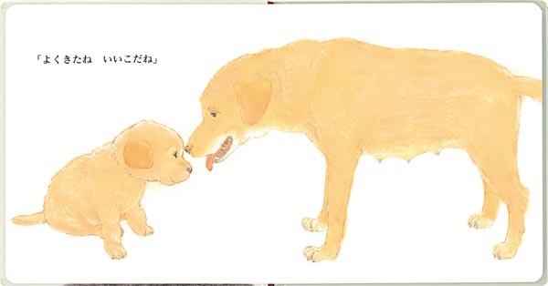 �褯�����͡�0.1.2.���ۤ��[��������]