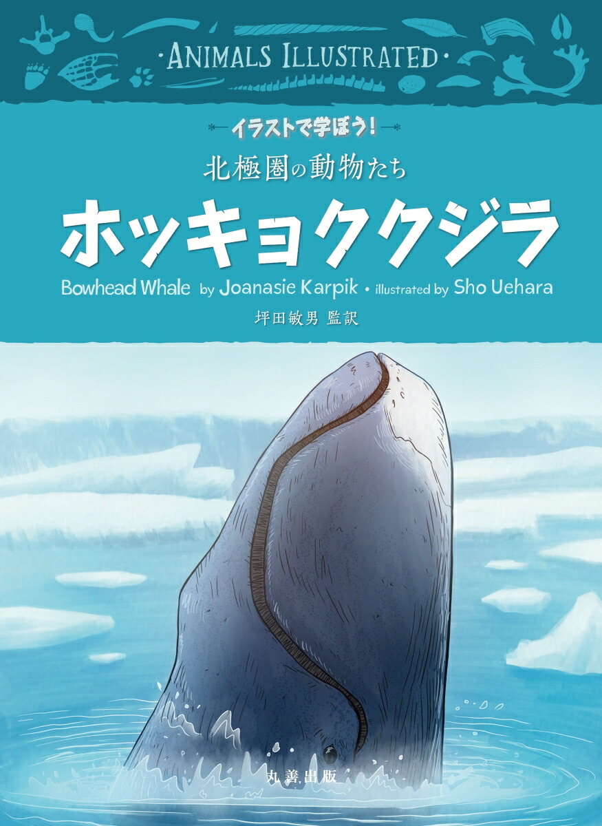 楽天ブックス ホッキョククジラ 坪田 敏男 本