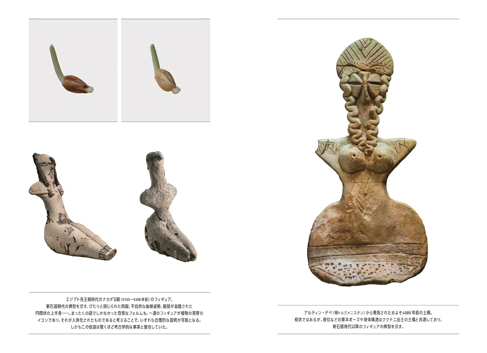 世界の土偶を読むコスチェンキの精霊はなぜ30000年前のユーラシアの森で捕縛されたのか？[竹倉史人]