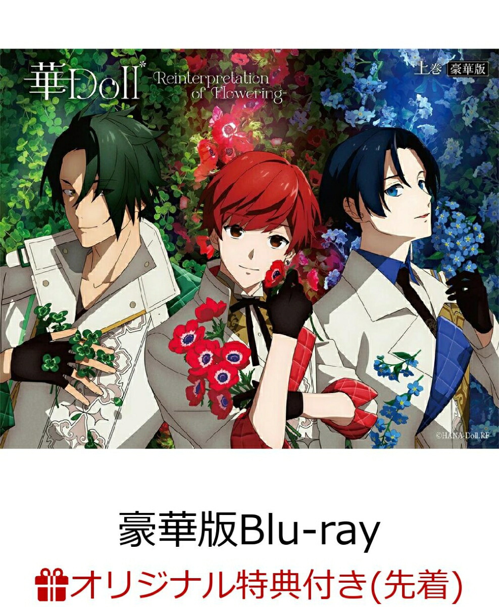 �ڳ�ŷ�֥å�������������ŵ�۲�Doll*-ReinterpretationofFlowering-�崬(�����)��Blu-ray��(���̼̿��֥��ޥ���3�祻�å�(�崬������))